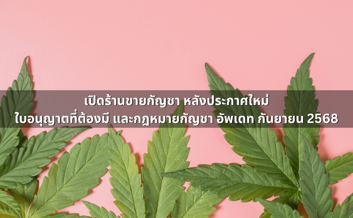 เปิดร้านขายกัญชา หลังประกาศใหม่_ ใบอนุญาตที่ต้องมี และกฎหมายกัญชา อัพเดท กันยายน 2568.png