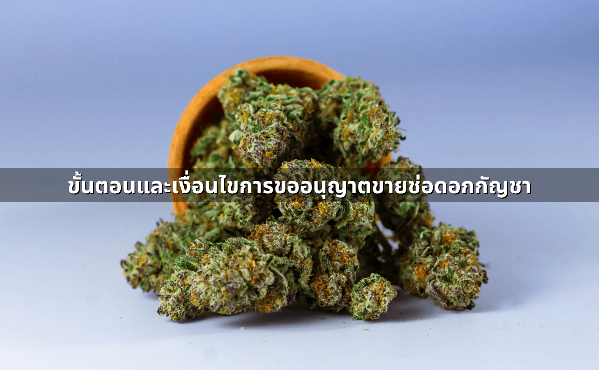 เปิดร้านขายกัญชา หลังประกาศใหม่_ ใบอนุญาตที่ต้องมี และกฎหมายกัญชา อัพเดท กันยายน 2568 (4).png