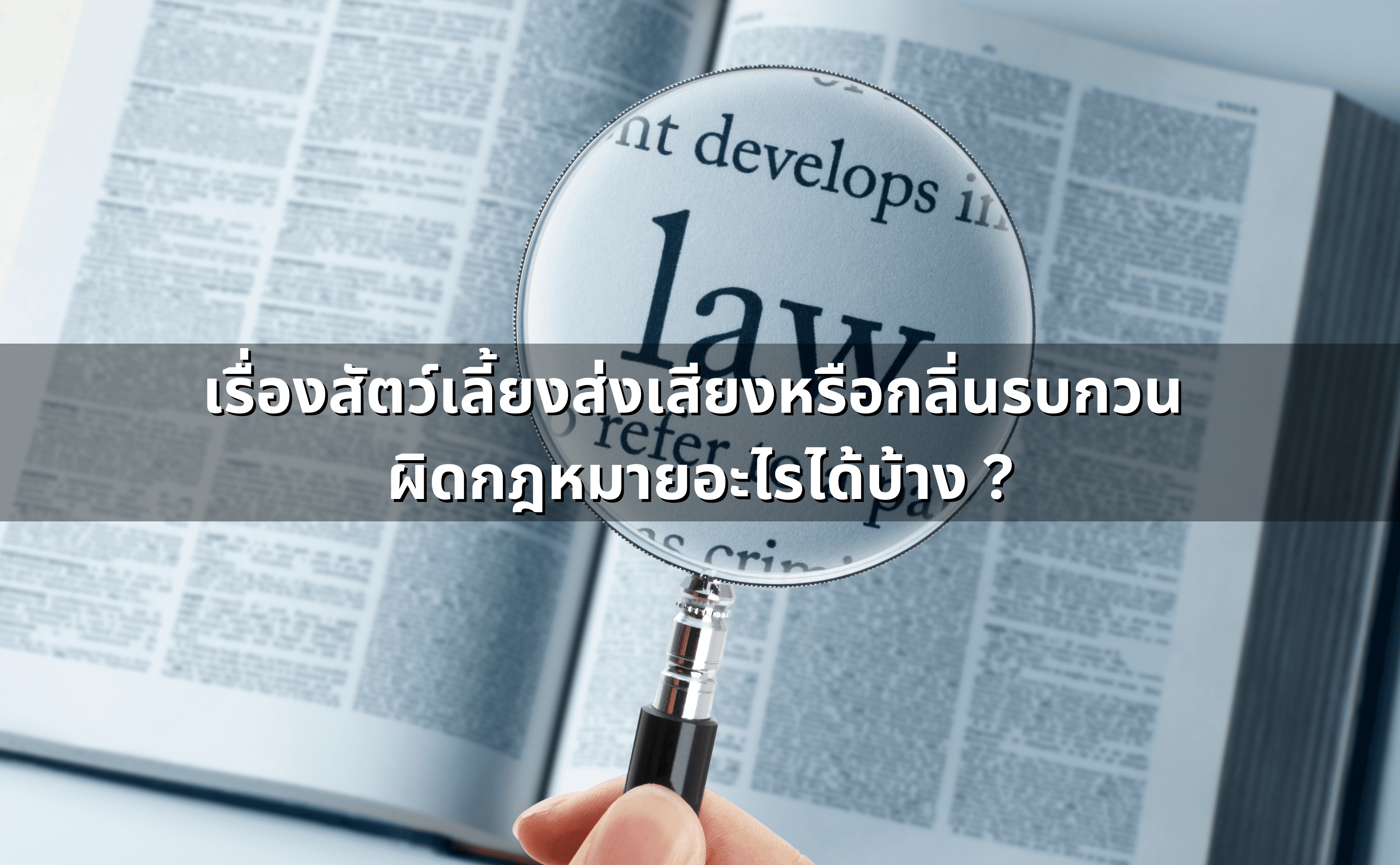 ปัญหาเลี้ยงสัตว์ ไก่-สุนัข จนส่งกลิ่นและเสียงรบกวน_ แนวทางกฎหมาย (2).png