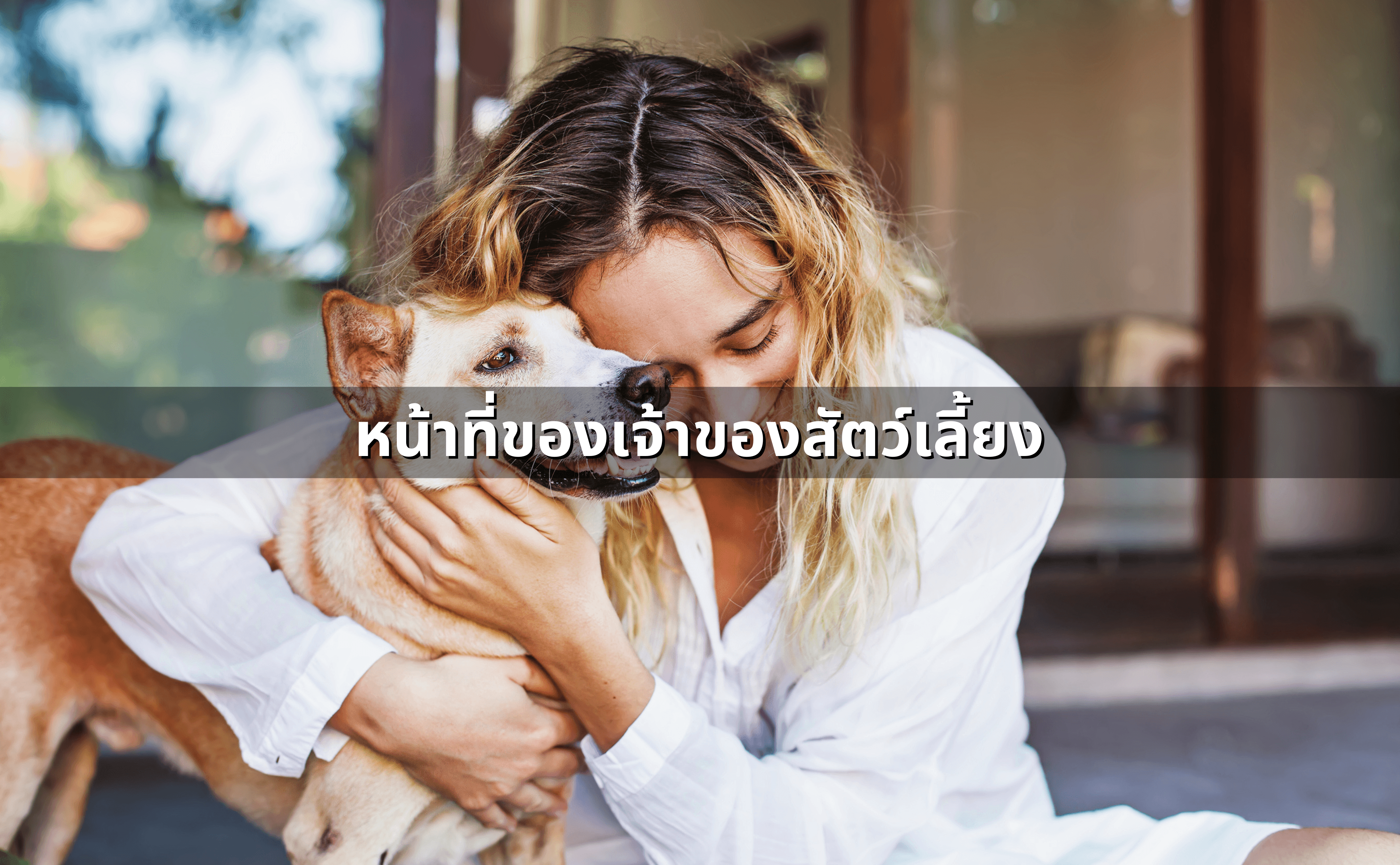 ปัญหาเลี้ยงสัตว์ ไก่-สุนัข จนส่งกลิ่นและเสียงรบกวน แนวทางกฎหมาย3.png