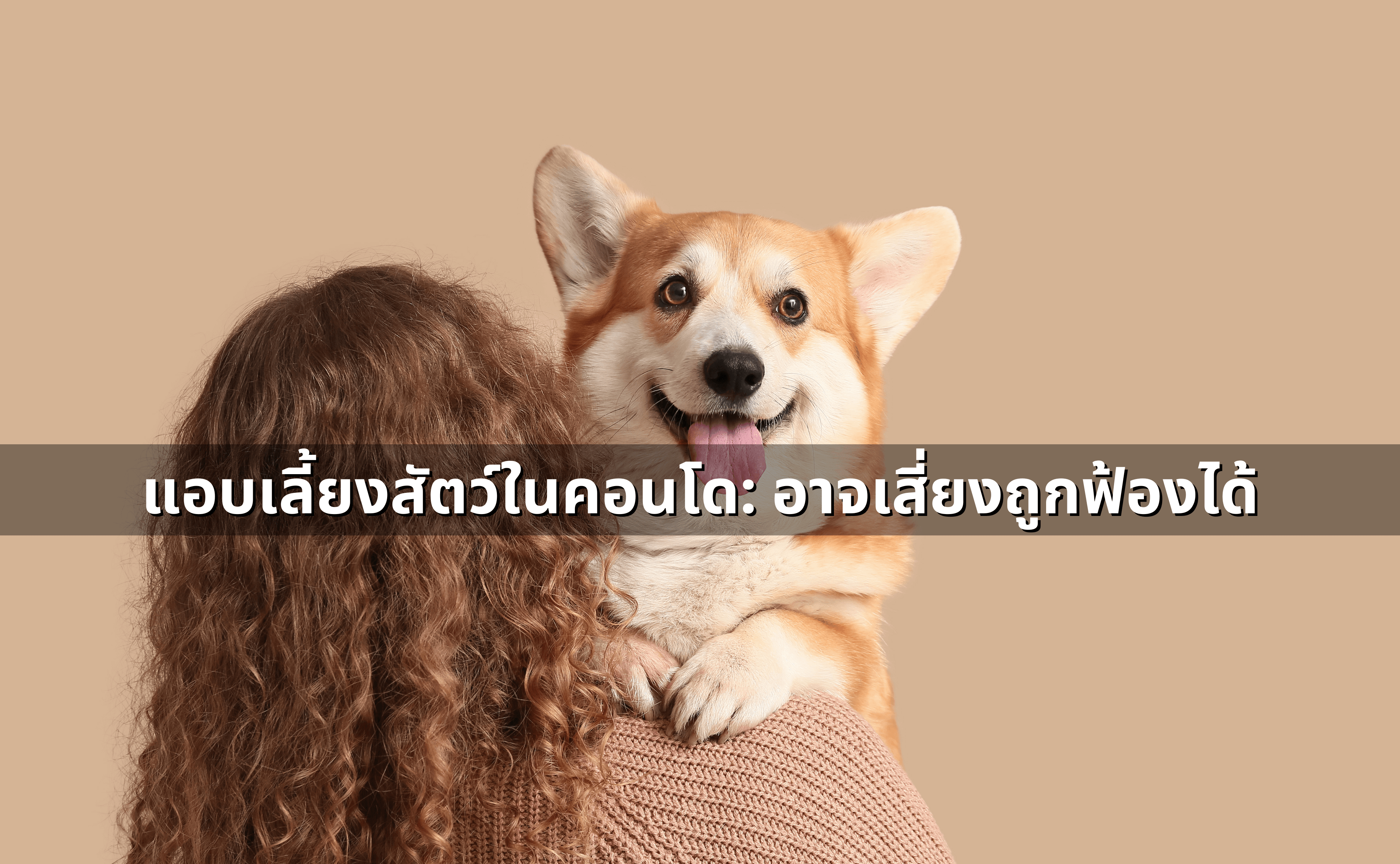 แอบเลี้ยงสัตว์ในคอนโด_ อาจเสี่ยงถูกฟ้องได้.png